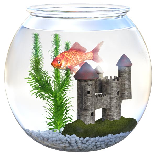 Benefits of Removing Chlorine From City Water Pure Water Solutions