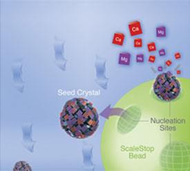 Seed Crystals